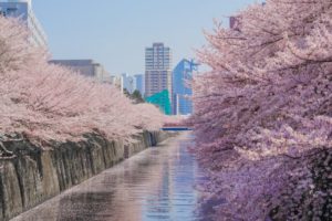 都内住みたい街ランキング上位の目黒！人気のマンションの適正価格を調べてみた！