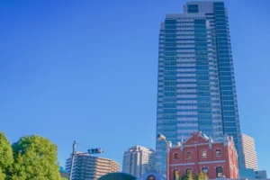 東京の人口急増を解き明かす！2022年～2024年の動向と変化