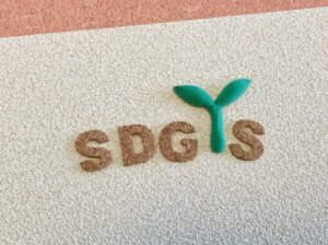 不動産業界におけるSDGs