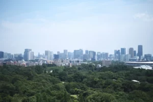 新宿区のハザードマップをじっくり見てみよう！　